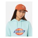 Dickies Hardwick cap bombay brown