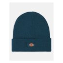 Dickies Gibsland beanie reflecting pond