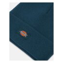 Dickies Gibsland beanie reflecting pond