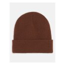 Dickies Gibsland beanie java