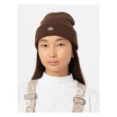 Dickies Gibsland beanie java