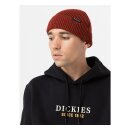 Dickies Woodworth beanie fired brick