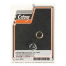 COLONY TIMING & DRAIN PLUG