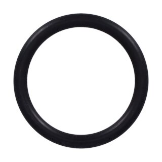 Athena, carburetor to manifold spacer block o-ring. NBR 70sh