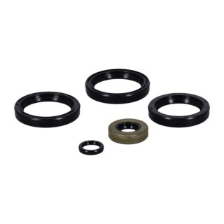 Athena, engine oil seals kit
