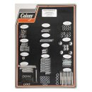 COLONY MOTOR SCREW SET