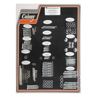 COLONY MOTOR SCREW SET
