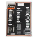 COLONY MOTOR SCREW SET