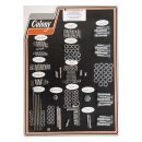 COLONY MOTOR SCREW SET