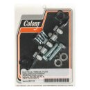Colony, electrical terminal plate