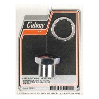 COLONY FORK STEM NUT & WASHER