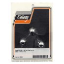 COLONY ACORN NUTS