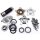 Stern Radnaben Reparatur Kit für Harley Big Twin Modelle 36-66
