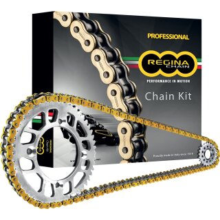 Regina 525 ZRP Ketten und Kettenradsatz für Ducati Monster 1200 14-20