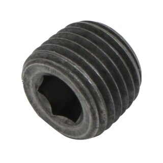 1/4"-18 NTP Crank Case Drain Plug