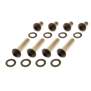 Screws4Bikes Edelstahl Fender Struts Montageschrauben schwarz matt für Harley Softail 18-24