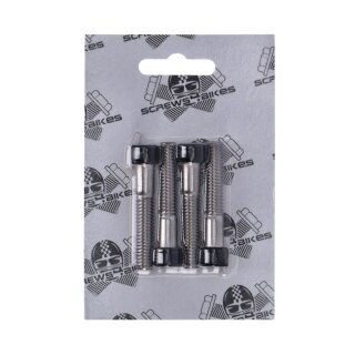 Screws4Bikes, bolt kit, front fender