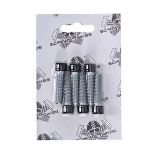 Screws4Bikes, bolt kit, front fork brackets