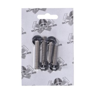 Screws4Bikes, bolt kit, fender struts