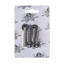Screws4Bikes, bolt kit, fender struts