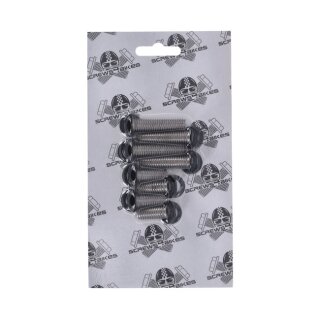 Screws4Bikes, bolt kit, fender struts