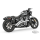 RADICAL RADIUS CH/CH STAR RH975 21-UP