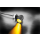 Kmann Spot Clear Turn Signal