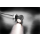 Kmann Spot Smoke position light