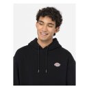 Dickies Millersburg hoodie black