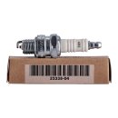 OEM spark plug 4R5