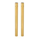 Arlen Ness, 49mm fork tubes, +2" length. Gold