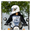 Biltwell Gringo / S / SV 22.06 shield light smoke