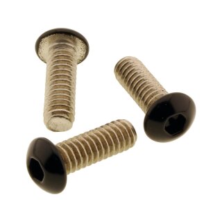 Battery Side Cover Screw Kit Gloss Black Powder Coated