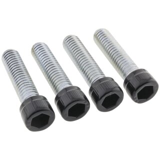 Footrest Screw Kits Gloss Black Powder Coated