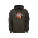 Nevada Hoodie