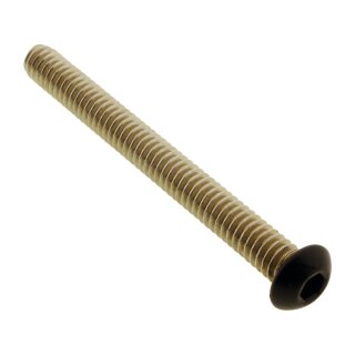 Electronic Control Modul (ECM) Screw Kit Satin Black Powder Coated