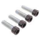 Footrest Screw Kits Gloss Black Powder Coated