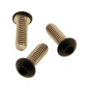 Battery Side Cover Screw Kit Satin Black Powder Coated