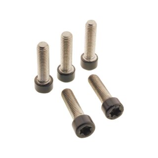 Fork Clamp Screw Kit Satin Black Powder Coated