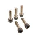 Fork Clamp Screw Kit Satin Black Powder Coated