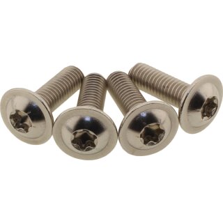 Heatshield Screw Kit Stainless Steel