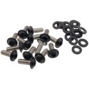Chin Fairing Screw Kit Satin Black Powder Coated