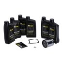 MCS, Big Oil service kit. Mineral. Chrome filter