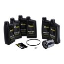 MCS, Big Oil service kit. Mineral. Chrome filter