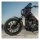Arlen Ness, Jagged brake rotor. 11.8"