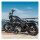 Arlen Ness, Jagged brake rotor. 11.8"