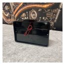 DMP, License plate frame 5.0 Fr Only License plate light. Gl