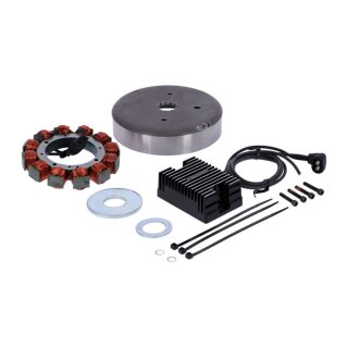 Cycle Electric Lichtmaschinen Kit für Harley Big Twin 89-98