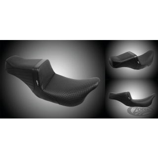 TailWhip Black BW FLH/T CVO23-Up