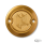 Next Level Point Cover Gold ME17-Up